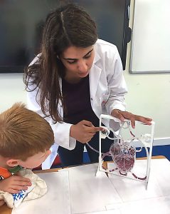 On every MNS Science School Holiday Camp, we keep your child happy, safe and inspired with the best fun hands-on STEAM activities – like this cool heart model